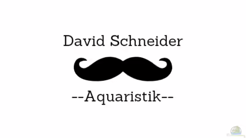 Userbild von David Schneider Aquaristik von David Schneider Aquaristik (32)