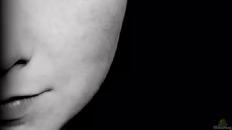 Userbild von Denise83 von Denise83 (31)