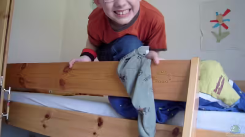 Userbild von Dennis Schuster von Dennis Schuster (6)