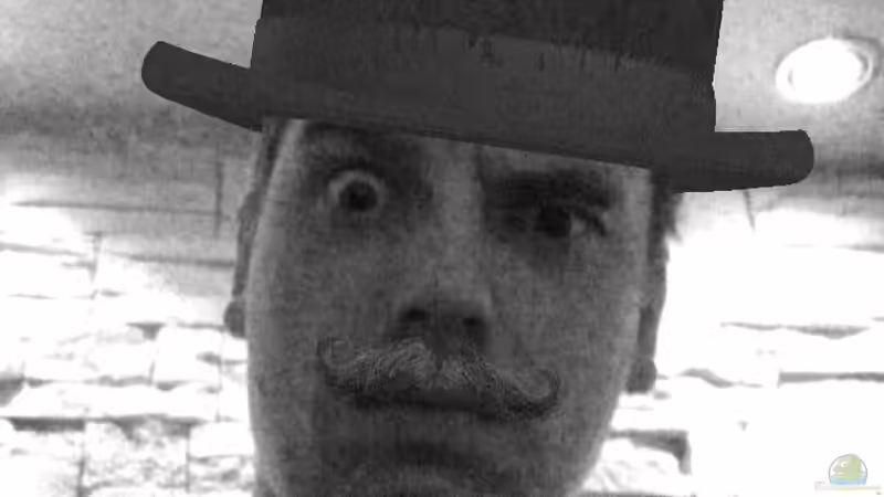 Userbild von DennisTheMenis von DennisTheMenis (36)