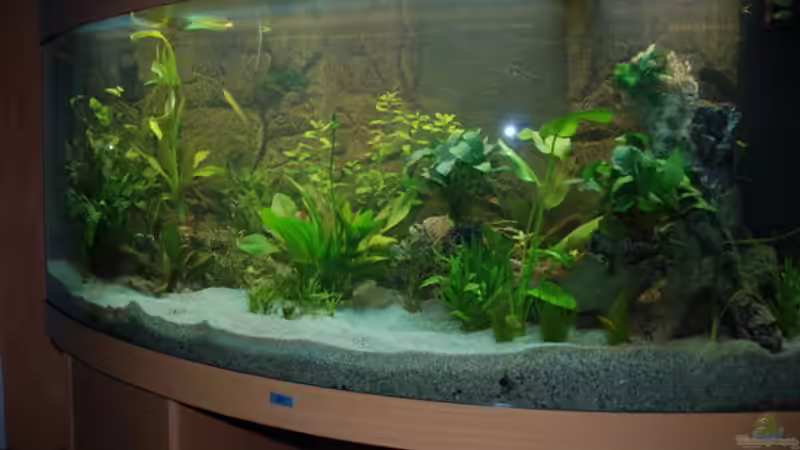 Userbild von Denon von Denon (18)