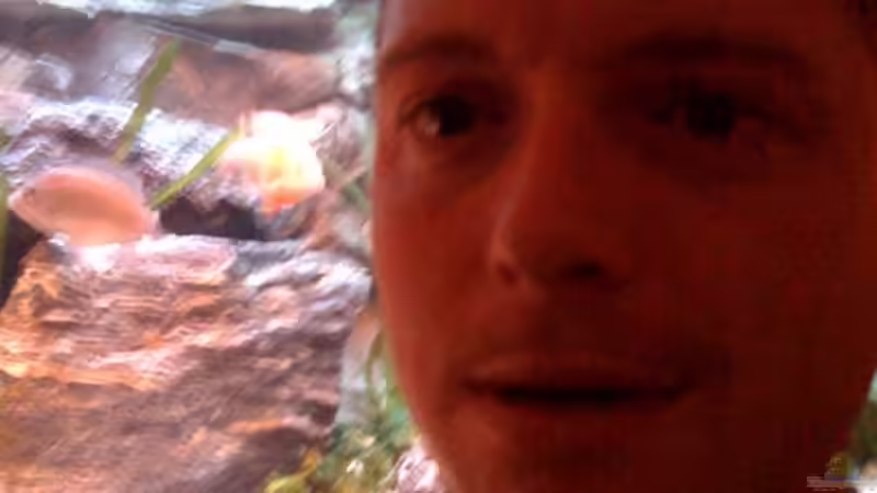 Userbild von Der Schweizer von Der Schweizer (29)