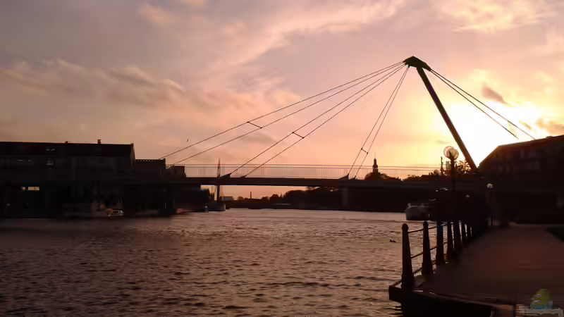 Userbild von DerChrischi von DerChrischi (25)