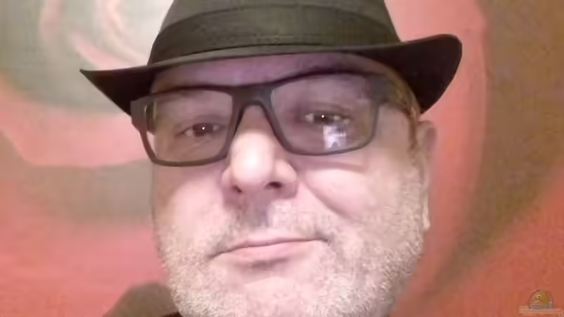 Userbild von Detlef Welzel von Detlef Welzel (2)