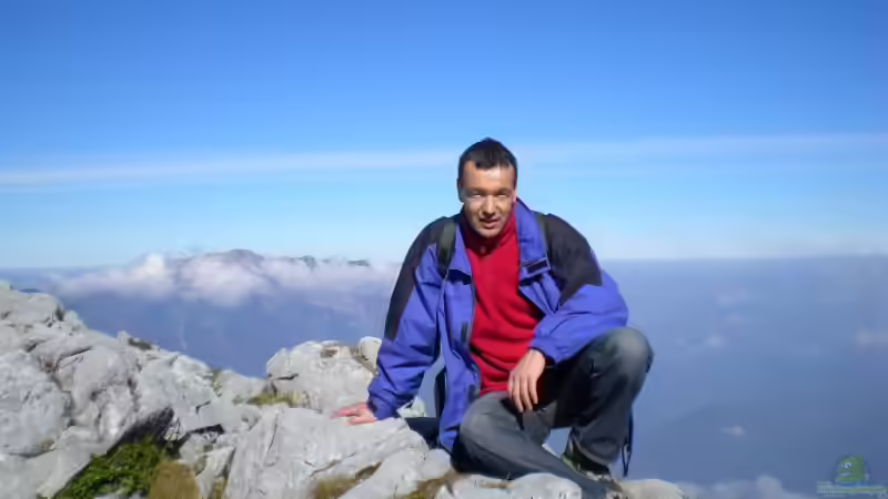 Userbild von di Stefano von di Stefano (23)