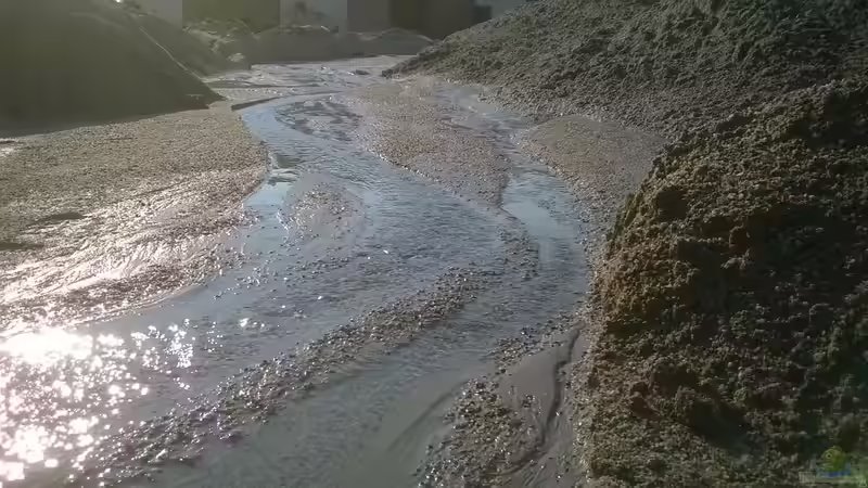 Userbild von Dieter Pr von Dieter Pr (14)