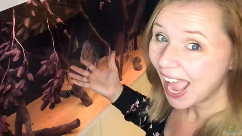 Userbild von DiskusMummy von DiskusMummy (104)