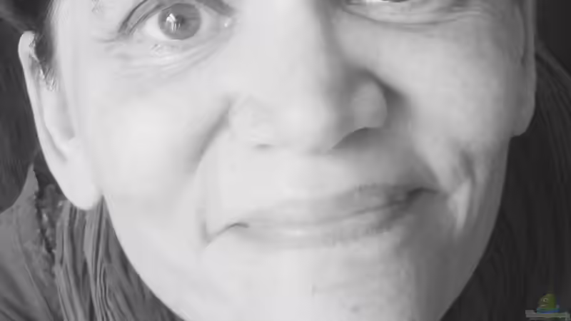 Userbild von Ditti von Ditti (20)