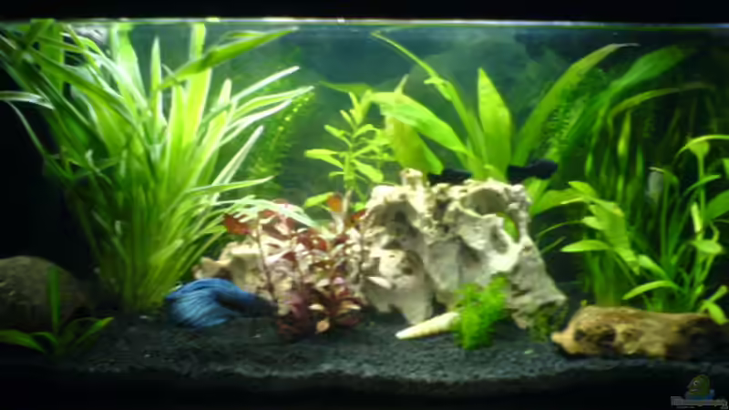 Userbild von Dominik Seffert von Dominik Seffert (3)