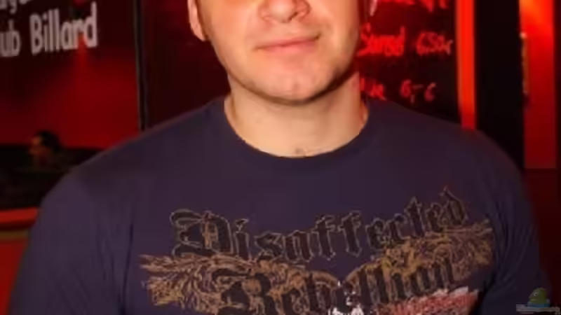 Userbild von Dommsel von Dommsel (43)