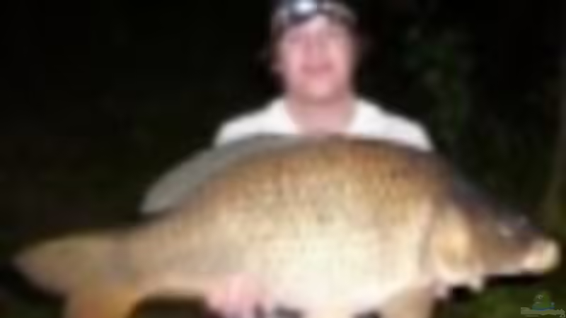 Userbild von DPGCidol von DPGCidol (21)