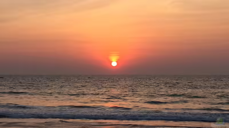 Userbild von Dresdn3r von Dresdn3r (37)