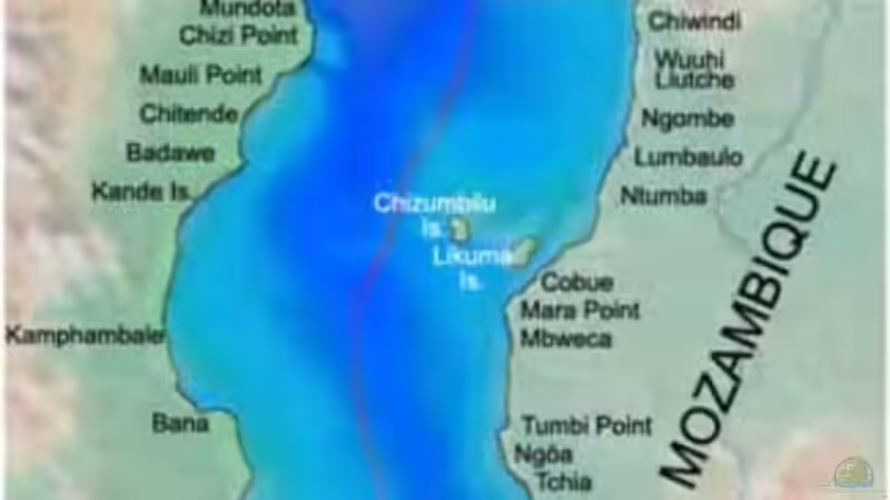 Userbild von Dt-Floppy von Dt-Floppy (32)