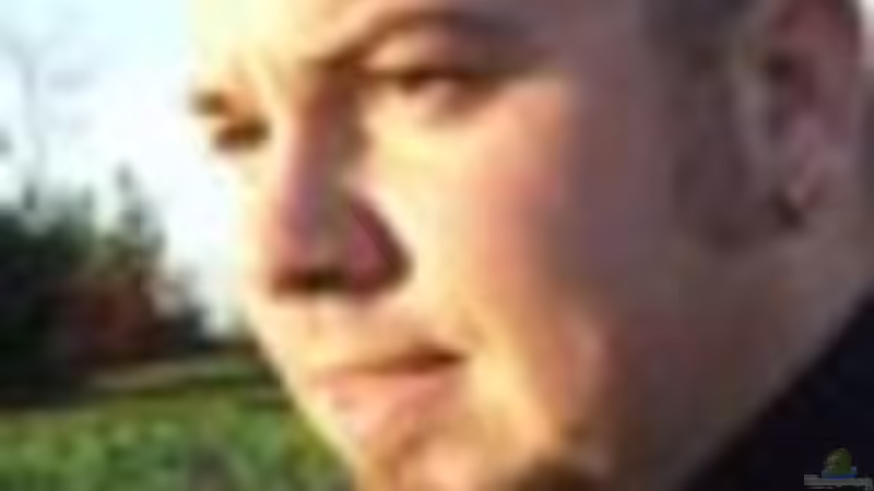 Userbild von Dundee von Dundee (6)