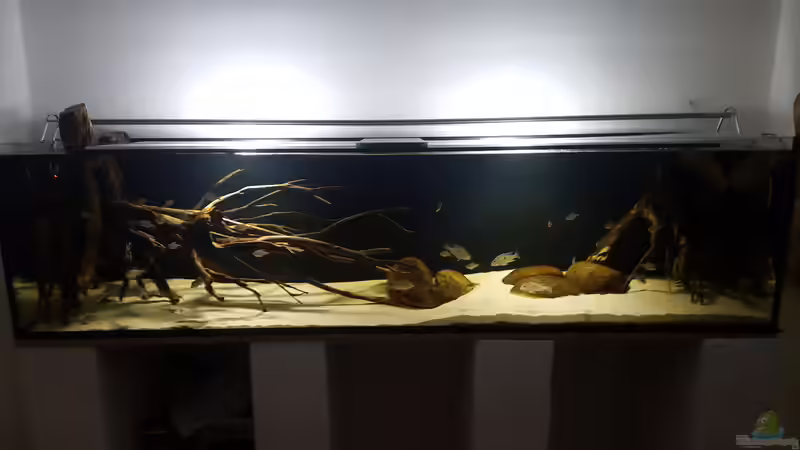 Userbild von Dustin Freimuth von Dustin Freimuth (9)