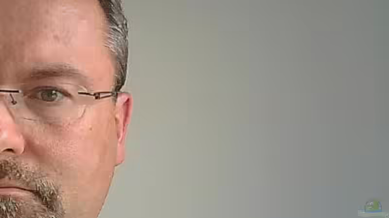 Userbild von Elsiman von Elsiman (61)