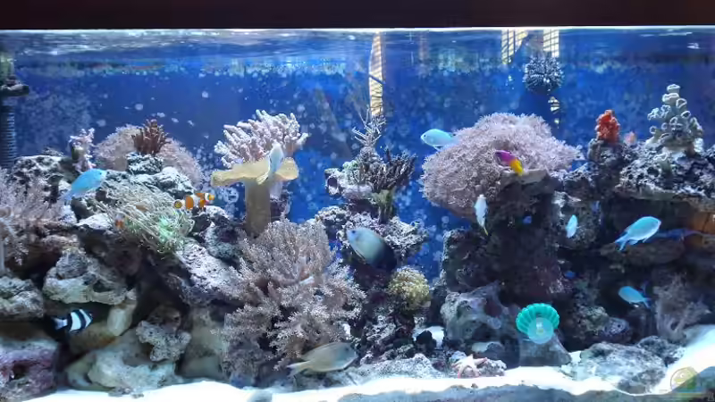 Userbild von enemey von enemey (32)