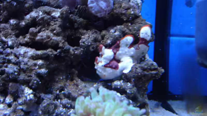 Userbild von ENM von ENM (9)