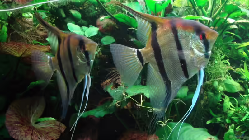 Userbild von Enzio von Enzio (24)