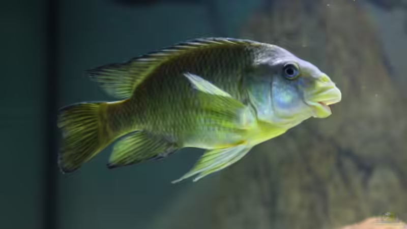 Userbild von Erik S. von Erik S. (11)