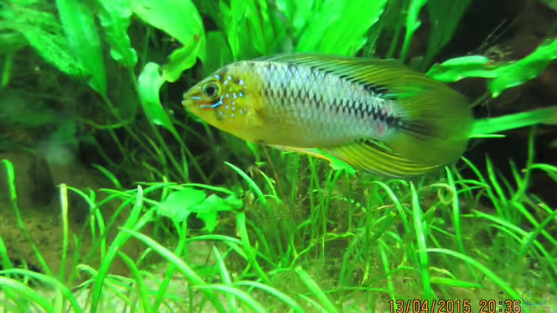 Userbild von Erwinio von Erwinio (23)