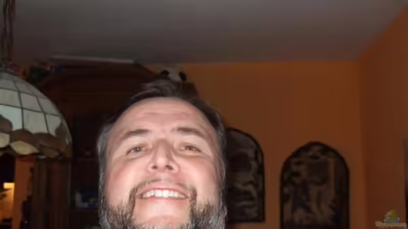 Userbild von Esslinger von Esslinger (35)