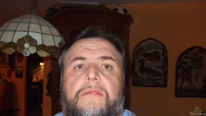 Userbild von Esslinger von Esslinger (45)