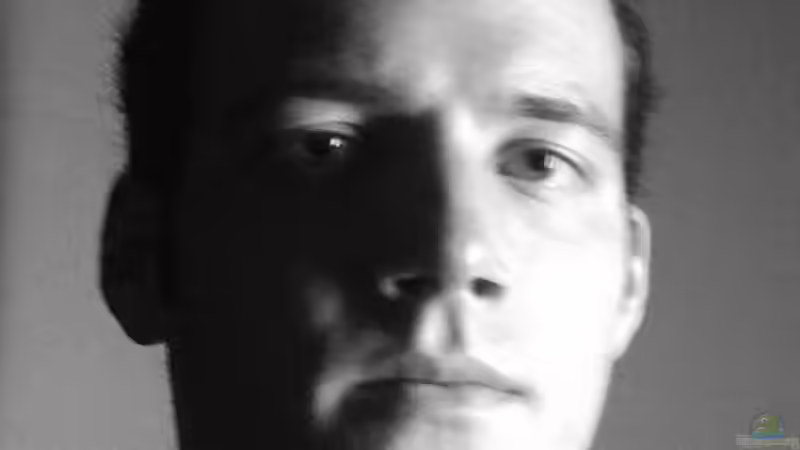 Userbild von Fabio Keller von Fabio Keller (8)