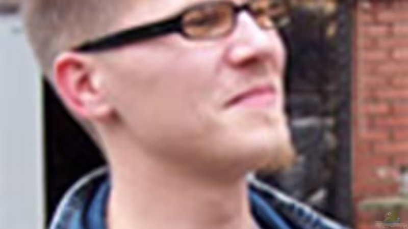 Userbild von fejul von fejul (21)