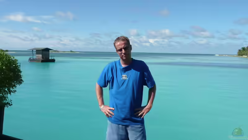 Userbild von Ferbi von Ferbi (50)