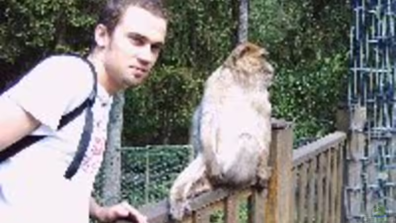 Userbild von Feuerschwanz von Feuerschwanz (11)