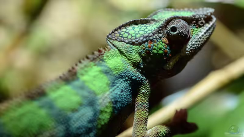 Userbild von fischgarage von fischgarage (23)