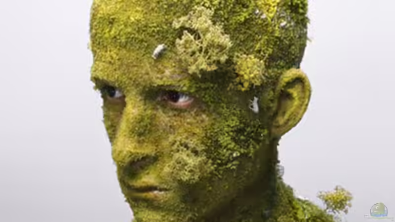 Userbild von Flevus von Flevus (18)