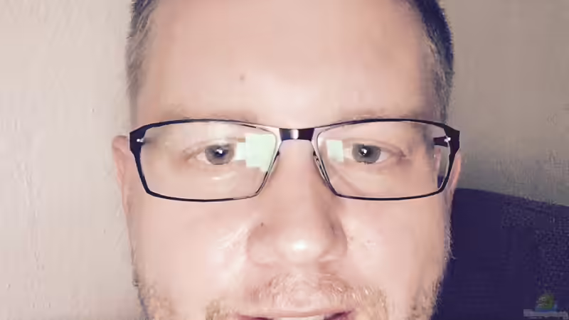 Userbild von Flo von Flo (31)