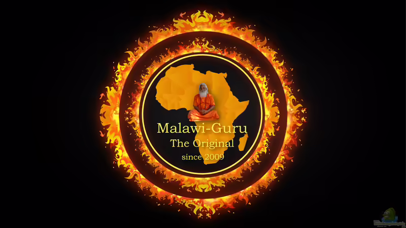 Userbild von Florian Bandhauer von Florian Bandhauer (96)