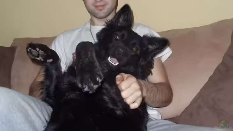 Userbild von Florian Suft von Florian Suft (21)