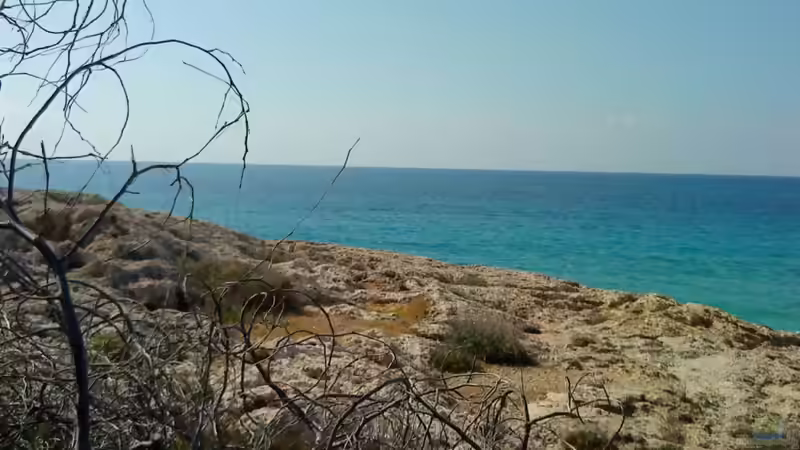 Userbild von *fly_high* von *fly_high* (20)