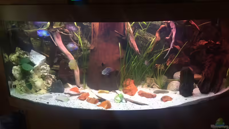 Userbild von Footloose von Footloose (4)