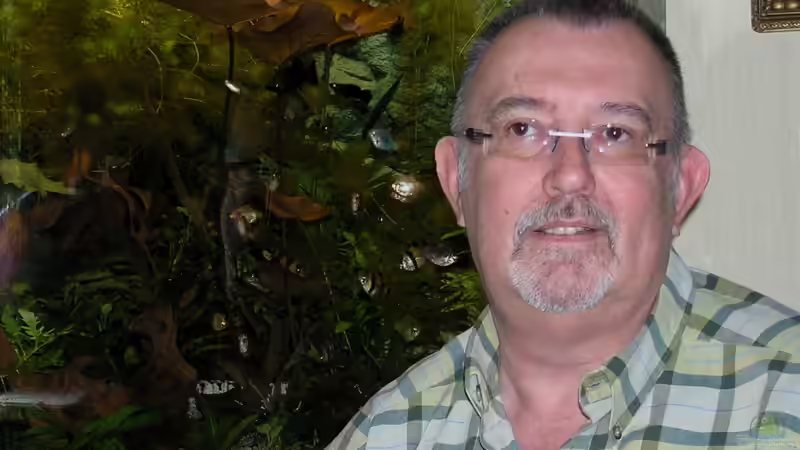 Userbild von Fossybear von Fossybear (60)