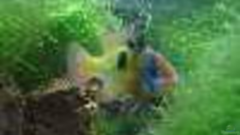 Userbild von Frank Förster von Frank Förster (9)