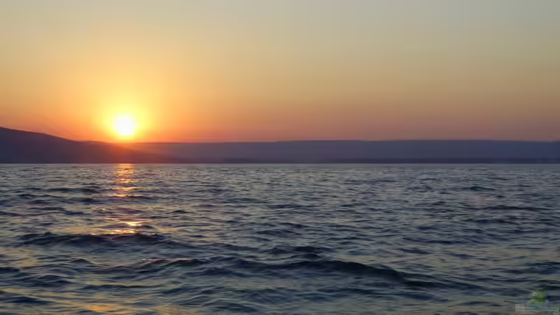 Userbild von Frank Hopp von Frank Hopp (95)