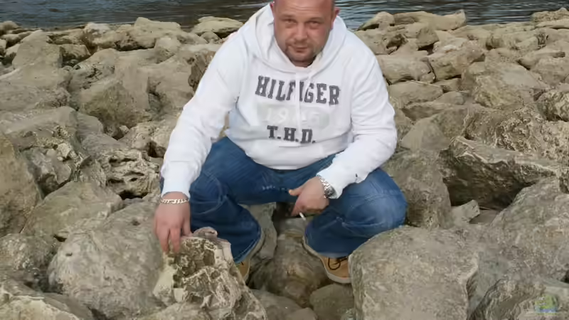 Userbild von Frank Wollenburg von Frank Wollenburg (46)