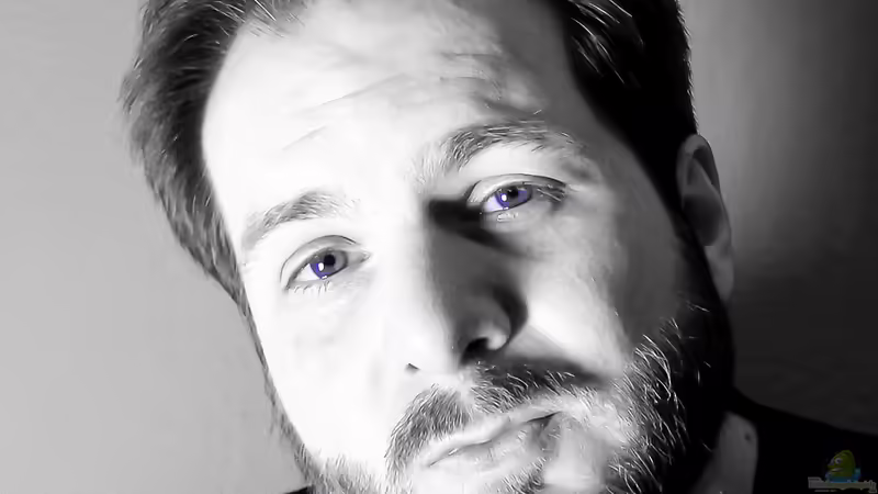 Userbild von Fredo Fuss von Fredo Fuss (2)