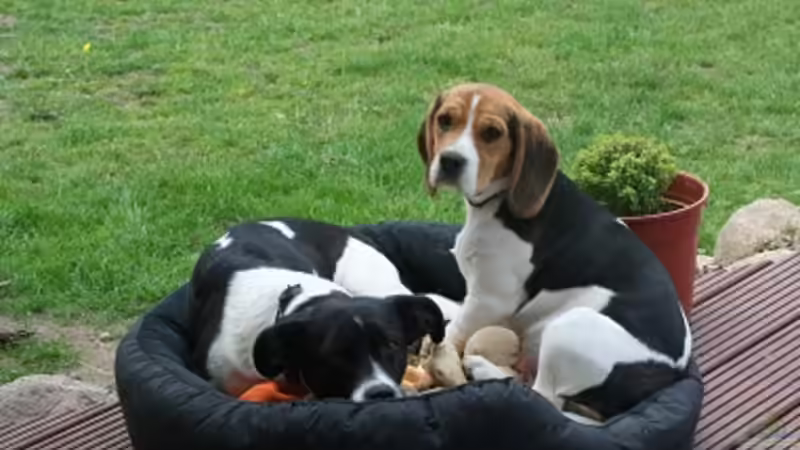 Userbild von g-dopt von g-dopt (12)