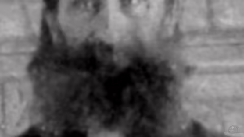 Userbild von gabbel von gabbel (5)