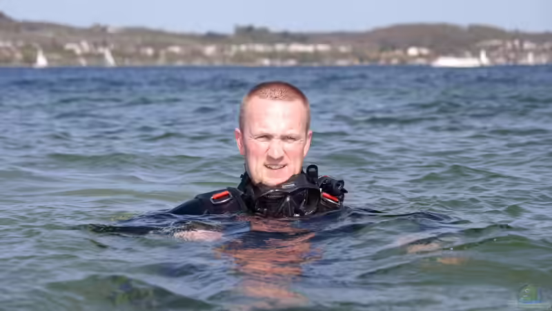 Userbild von Garbas Darius von Garbas Darius (26)