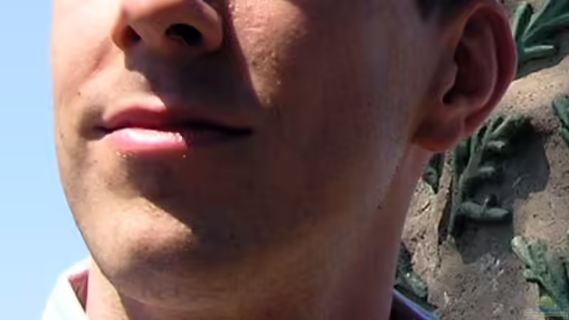 Userbild von gbroker von gbroker (14)