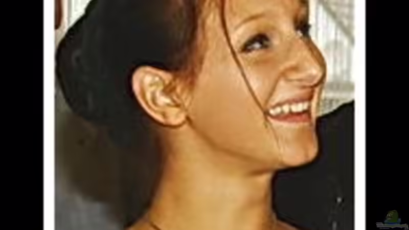 Userbild von gefjon von gefjon (36)