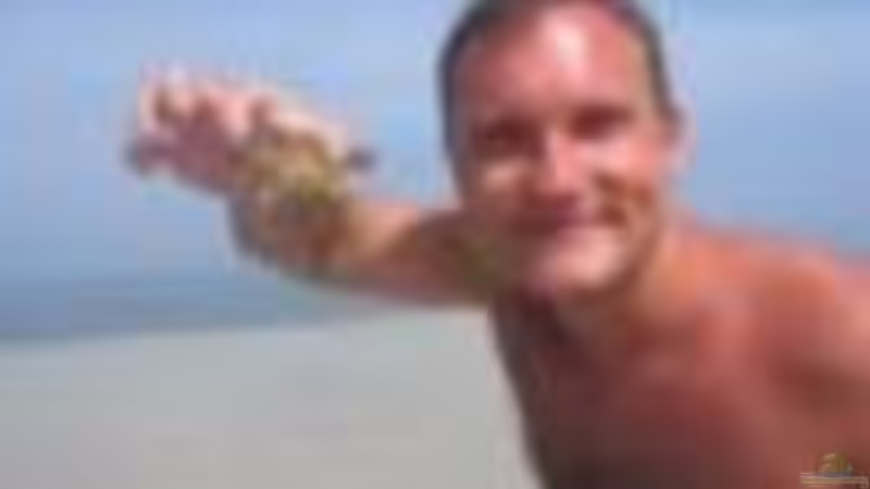 Userbild von Gerrit Buck von Gerrit Buck (17)