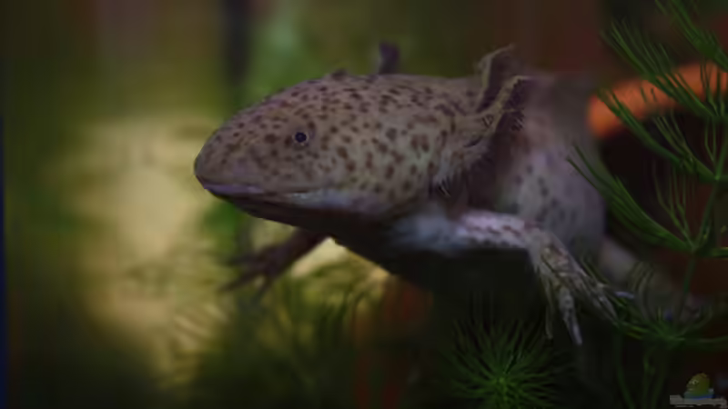 Userbild von Gerrit von Gerrit (2)